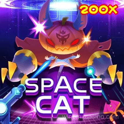 Gato Espacial
